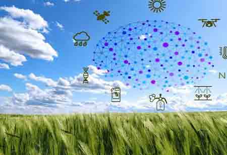 Data-Driven Innovation Transforming Agronomic Field Trial Management Data-Driven Innovation Transforming Agronomic Field Trial Management