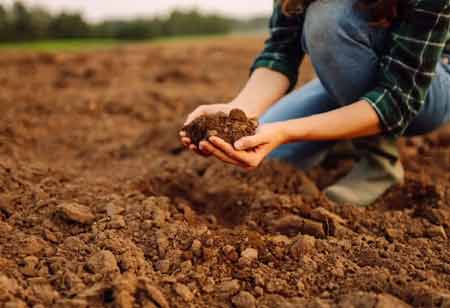 Soil Micronutrient Analysis for Agronomic Innovation Soil Micronutrient Analysis for Agronomic Innovation